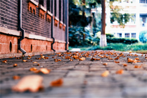 ӿ(gu)(ni)֪УġkW(xu)Tʿ(xing)Ŀ