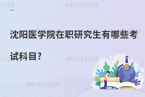 沈陽醫(yī)學(xué)院在職研究生有哪些考試科目?