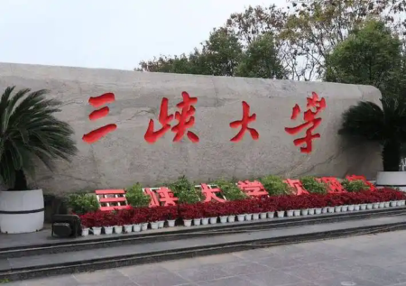 {W(xu).webp.png