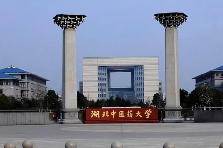 t(y)ˎW(xu).webp.png