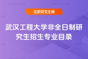 2019年武漢工程大學(xué)非全日制研究生招生專業(yè)目錄